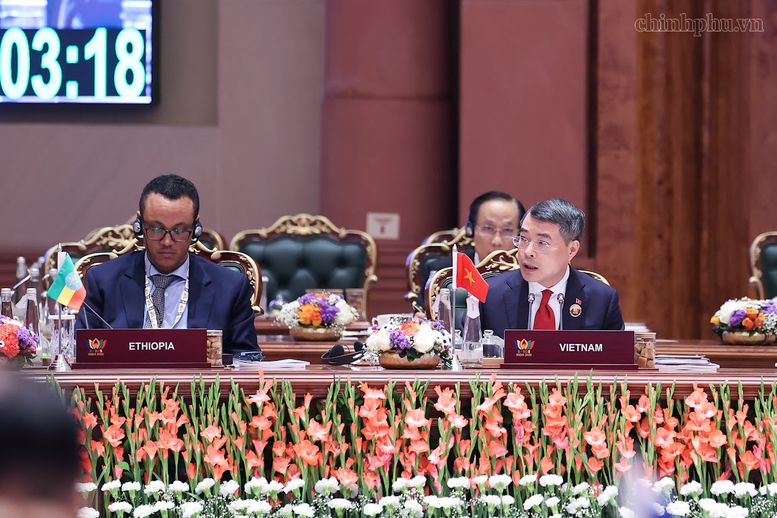 Thủ tướng Lê Minh Hưng: Việt Nam sẵn sàng đồng hành cùng BRICS vì tăng trưởng bao trùm - 4