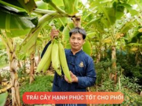 Loại quả được mệnh danh là “trái cây hạnh phúc”, rất giàu dinh dưỡng cho phổi, nhưng thường bị người Việt bỏ qua