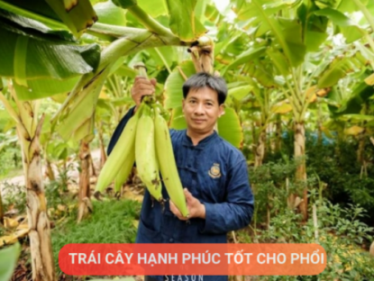 Thông tin doanh nghiệp - Loại quả được mệnh danh là “trái cây hạnh phúc”, rất giàu dinh dưỡng cho phổi, nhưng thường bị người Việt bỏ qua