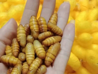 Thông tin doanh nghiệp - Khi trào ngược dạ dày trở thành căn bệnh nguy hiểm, thì mẹo nhỏ hiệu quả này bất ngờ được khám phá ra