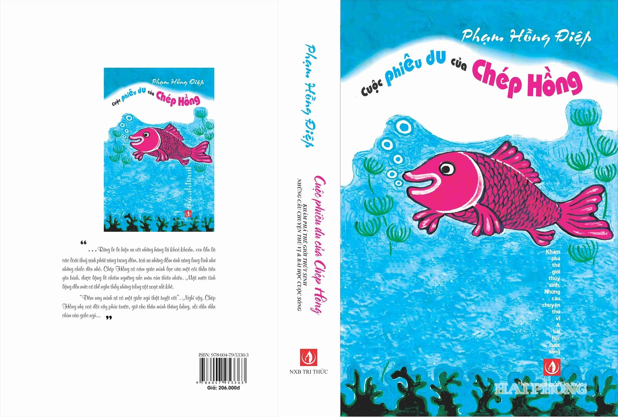 'Cuộc phiêu du của Chép Hồng' xác lập kỷ lục thế giới - 2