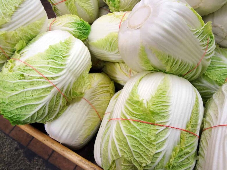 Mua cải thảo nên chọn cây xanh hay trắng, người trồng bật mí "nếu mua nhầm là món ăn mất ngon" - 1