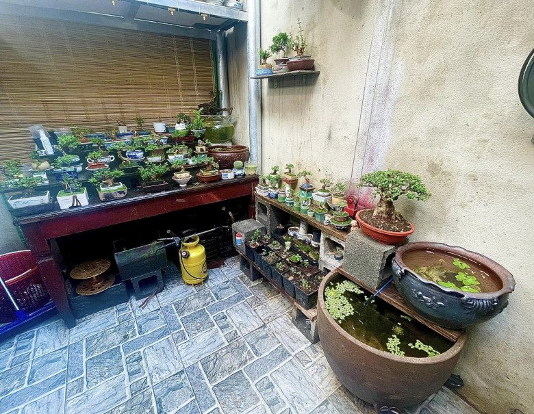 9X Buôn Ma Thuột chi 30 triệu cải tạo sân sau thành vườn, mảnh sân giờ lên giá gấp đôi - 7
