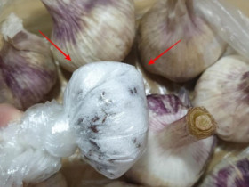 Tỏi mua về không ăn hết, cho ngay thứ này vào, để cả năm vẫn tươi, không sợ mốc hỏng hay mọc mầm, giữ nguyên hương vị
