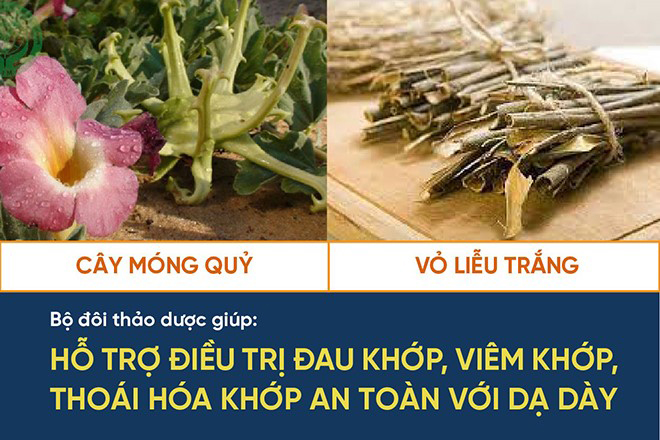 Bất ngờ thoát đau xương khớp nhờ mẹo cực hay từ lời khuyên của Chuyên gia viện Y học cổ truyền - 4