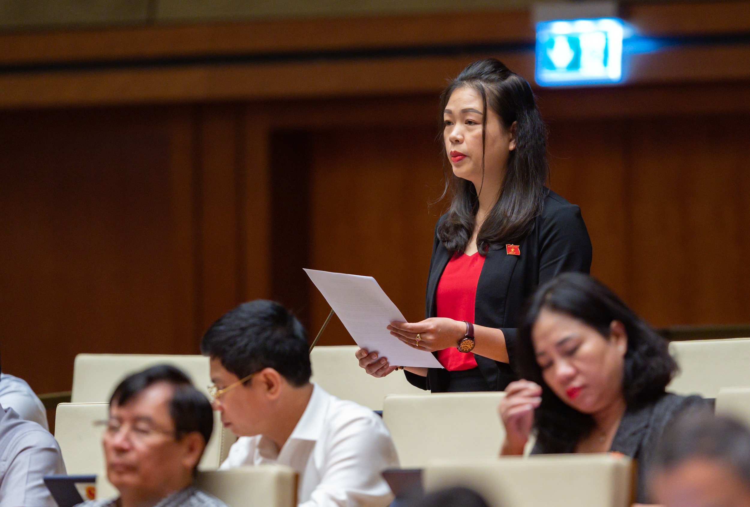 Quốc hội thảo luận về một số ý kiến khác nhau về dự án Luật Thanh tra (sửa đổi) - 8