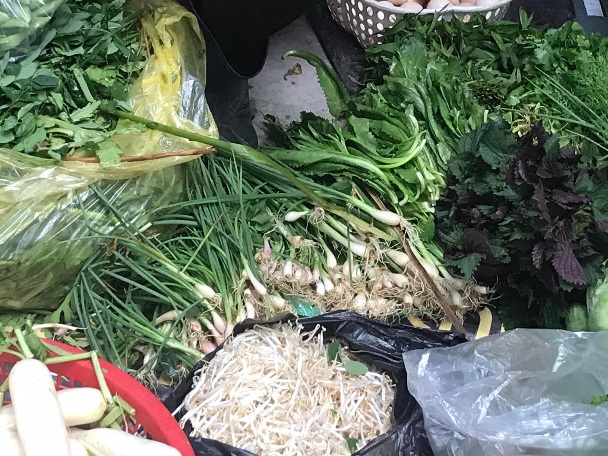 Hành lá tăng giá chóng mặt, có 2.000 đồng không mua nổi cọng hành - 1