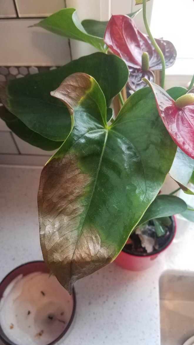 Một khi 4 hiện tượng này xuất hiện, chứng tỏ tài lộc trong gia đình đang chưa tốt, nên chú ý! - 3