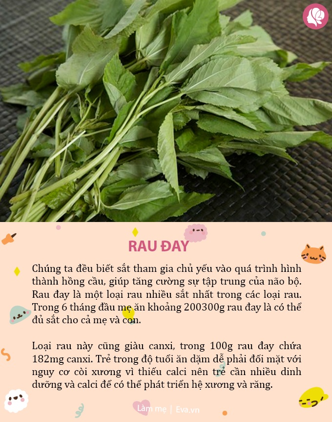 6 loại rau bình dân nhưng lại giúp trẻ tăng chiều cao và trí thông minh vượt trội - 3