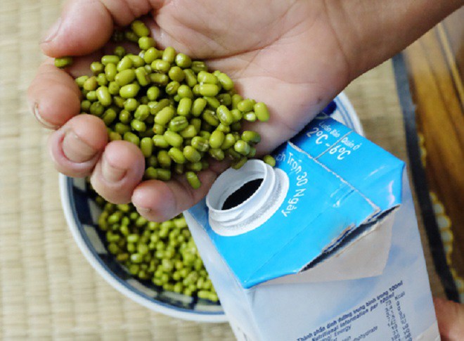 Nhà có hộp sữa uống hết hãy tận dụng trồng giá, sau 4 ngày có ngay giá sạch để ăn - 3