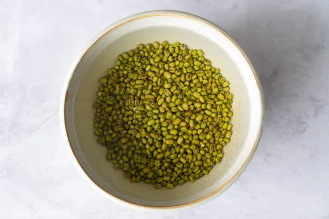 Nhà có hộp sữa uống hết hãy tận dụng trồng giá, sau 4 ngày có ngay giá sạch để ăn - 2