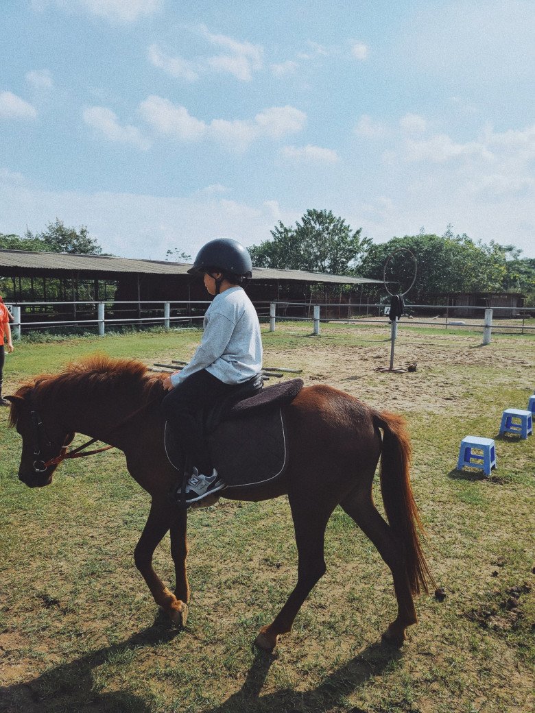 Hoa hậu Dương Thuỳ Linh: Hai mẹ con luôn động viên nhau học hành, thậm chí con còn chấn chỉnh thái độ học của mẹ - 14