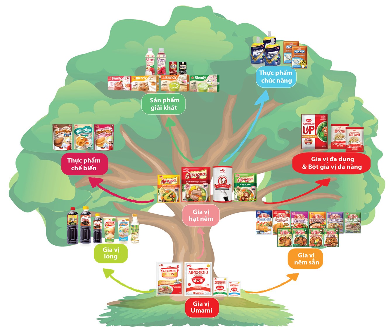 Công ty Ajinomoto Việt Nam: Luôn thấu hiểu khẩu vị địa phương và tiếng nói của người tiêu dùng - 3