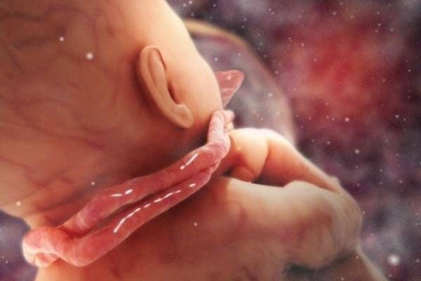 5 đồn thổi về dây rốn quấn cổ thai nhi, mẹ bầu phải biết để đi đẻ an toàn - 2