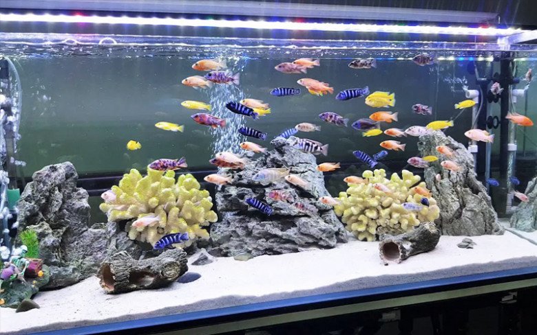 Trong nhà có 5 thứ phải “bất di bất dịch”, đừng tùy tiện di chuyển kẻo tài lộc đứt đoạn - 5