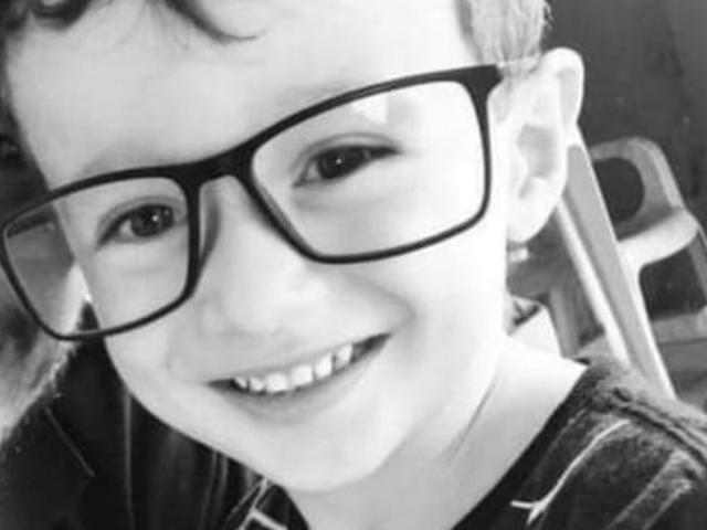 Bé 7 tuổi qua đời vì lên cơn đau tim 7 lần trong 2 ngày sau khi bị con vật này đốt - 1