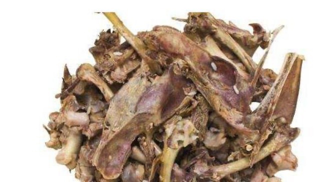 Hóa ra cây không nở hoa là do thiếu thứ này, nhanh chóng bù lại, hai tuần nở đầy chậu - 2