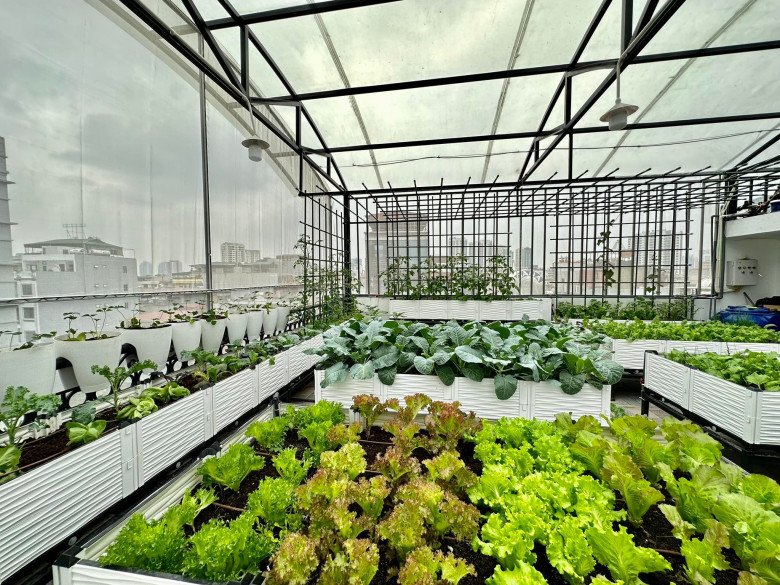 Nữ CEO chi 200 triệu trồng rau sân thượng, khu vườn 30m2 được khen &#34;đáng đồng tiền bát gạo&#34; - 2