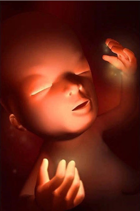 Ngắm bộ ảnh tuyệt đẹp về sự phát triển của thai nhi qua từng tuần để thấy sự kỳ diệu của tạo hóa - 13