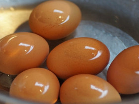 3 kiểu luộc trứng nạp đầy độc tố, ăn vào ngộ độc như chơi, ai hay làm thì bỏ ngay kẻo vừa mất ngon vừa sinh bệnh