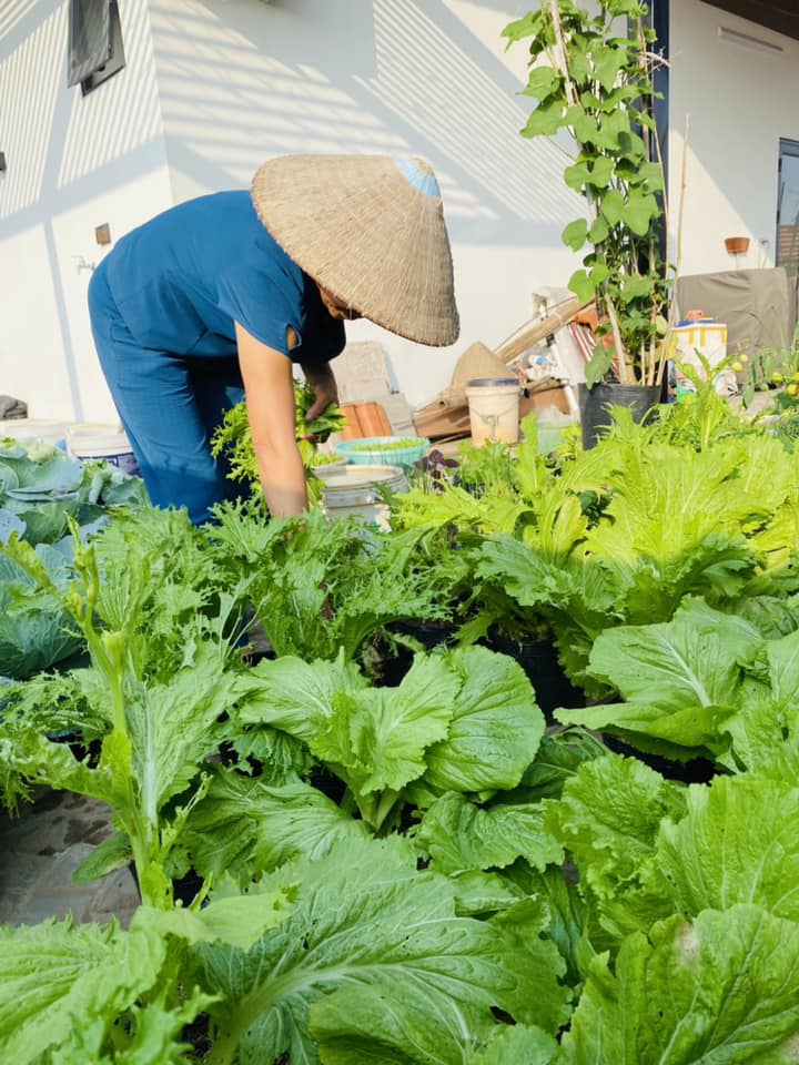 Khuân đất lên sân thượng trồng rau cho đỡ buồn, chỉ 5 triệu cô giáo mầm non có rau ăn quanh năm không hết - 9
