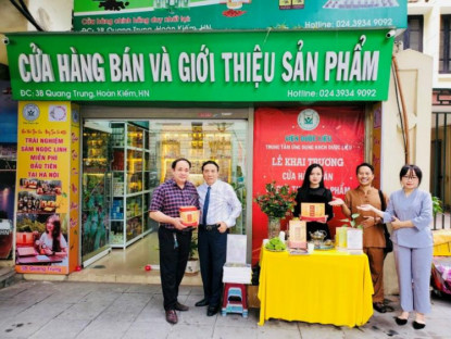 Thông tin doanh nghiệp - Trải nghiệm sâm Ngọc Linh miễn phí tại Hà Nội