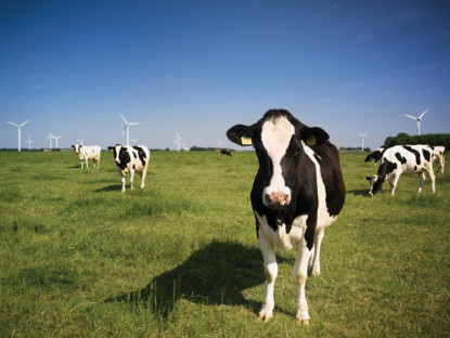 Thông tin doanh nghiệp - Nguyên liệu bơ sữa Hoa Kỳ: lợi thế cho sự đổi mới &amp; phát triển bền vững