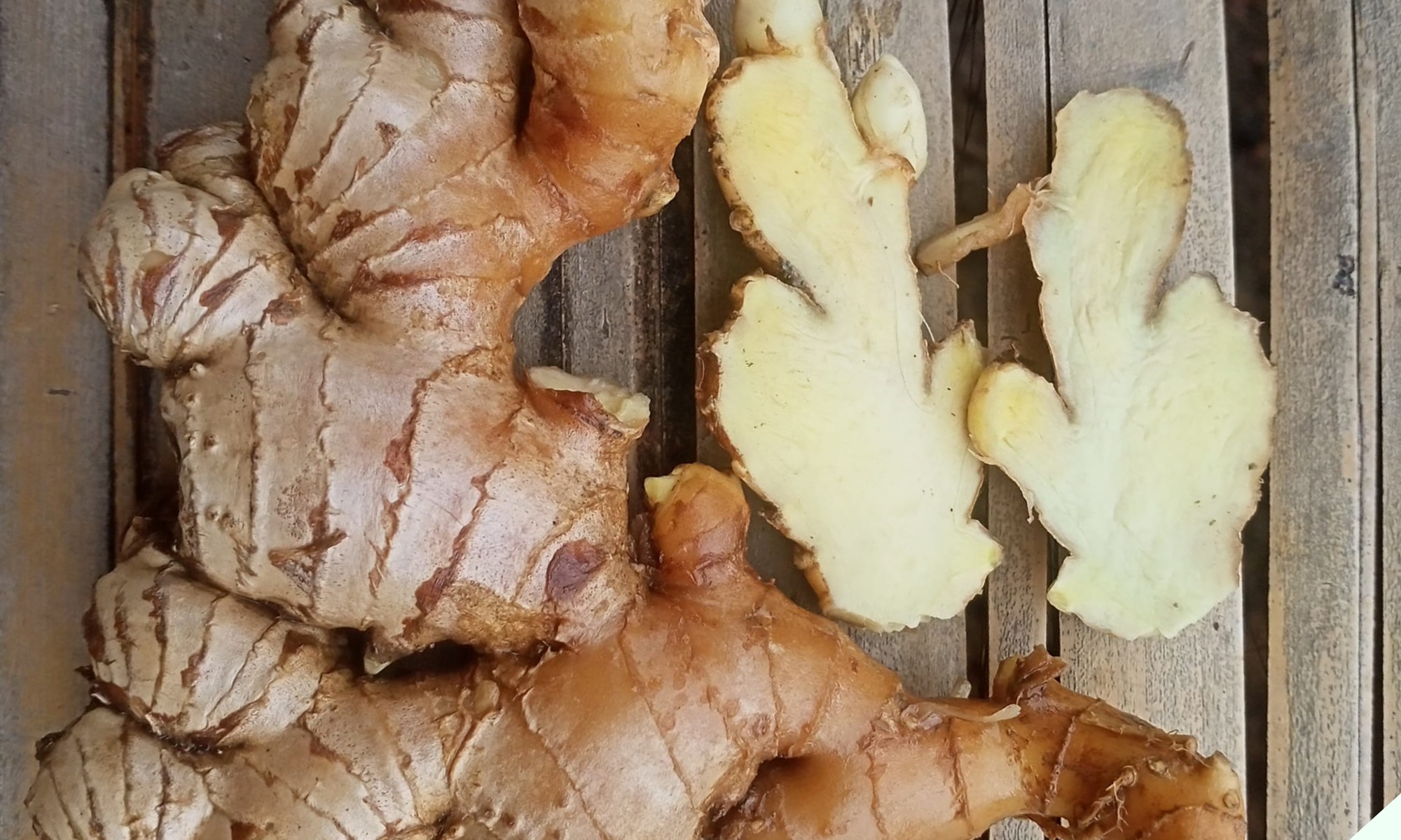 4 loại gia vị là thuốc chống ung thư tự nhiên, bếp nhà nào cũng vứt lăn lóc mà không biết để dùng thì quá phí - 2