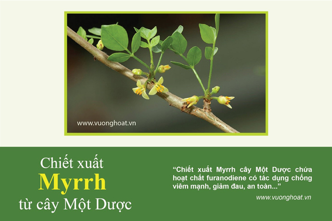 Châm cứu bấm huyệt để giảm đau nhức lưng, đau mỏi vai gáy – Cần biết ngay điều này! - 4