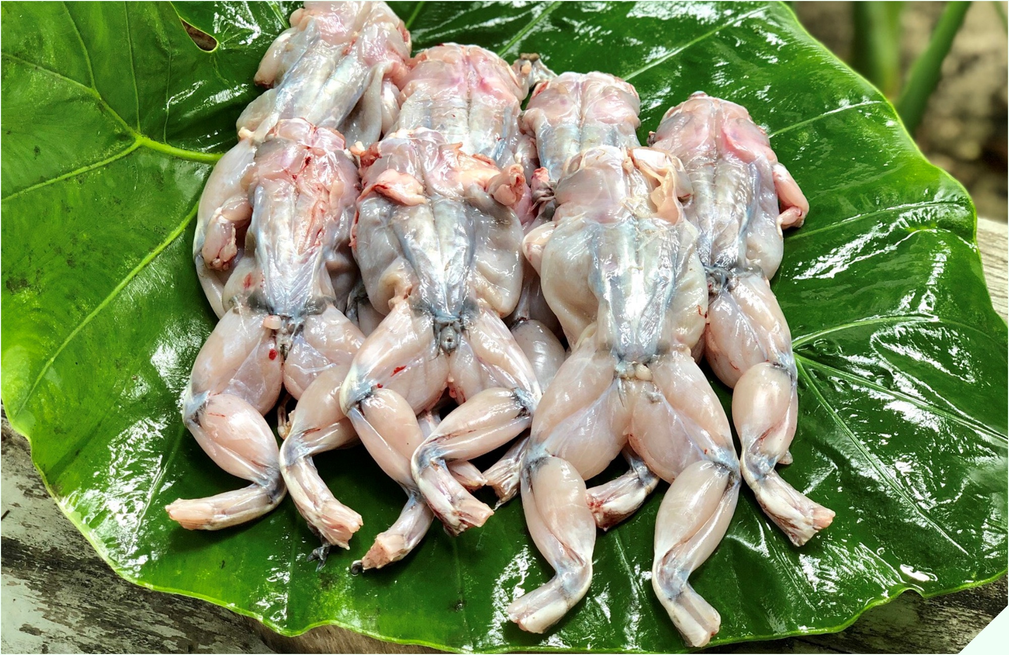 Đi chợ gặp loại thịt được ví như “vị thuốc mùa đông” mua về nấu cùng quả dài ngoằng thành món cay cay, lớn nhỏ đều ăn “thun thút” - 3