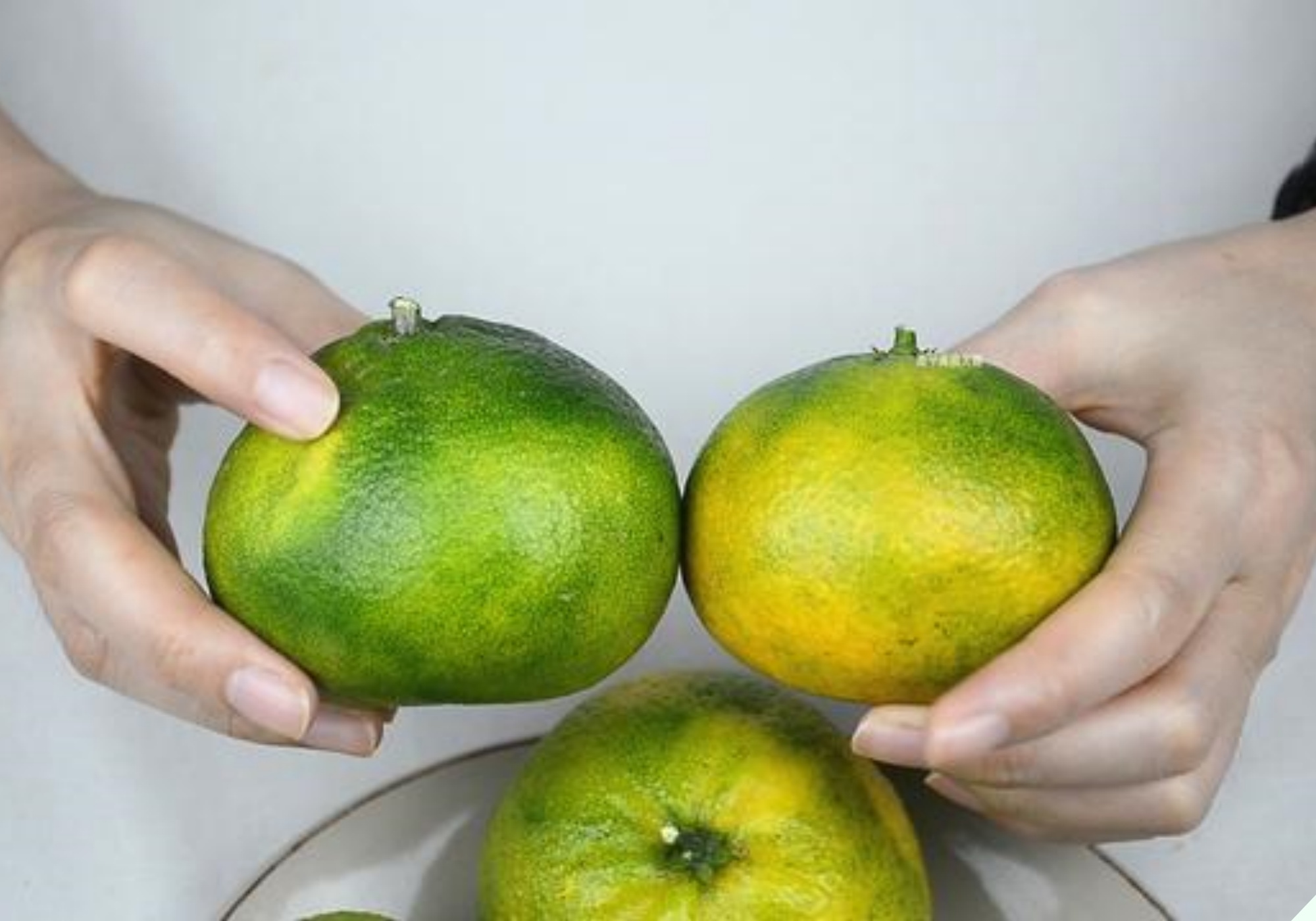 Chủ sạp hoa quả tiết lộ bí quyết chọn cam ngon, nhớ kỹ 5 điều này lấy chọn quả nào cũng ngọt lịm tim - 6