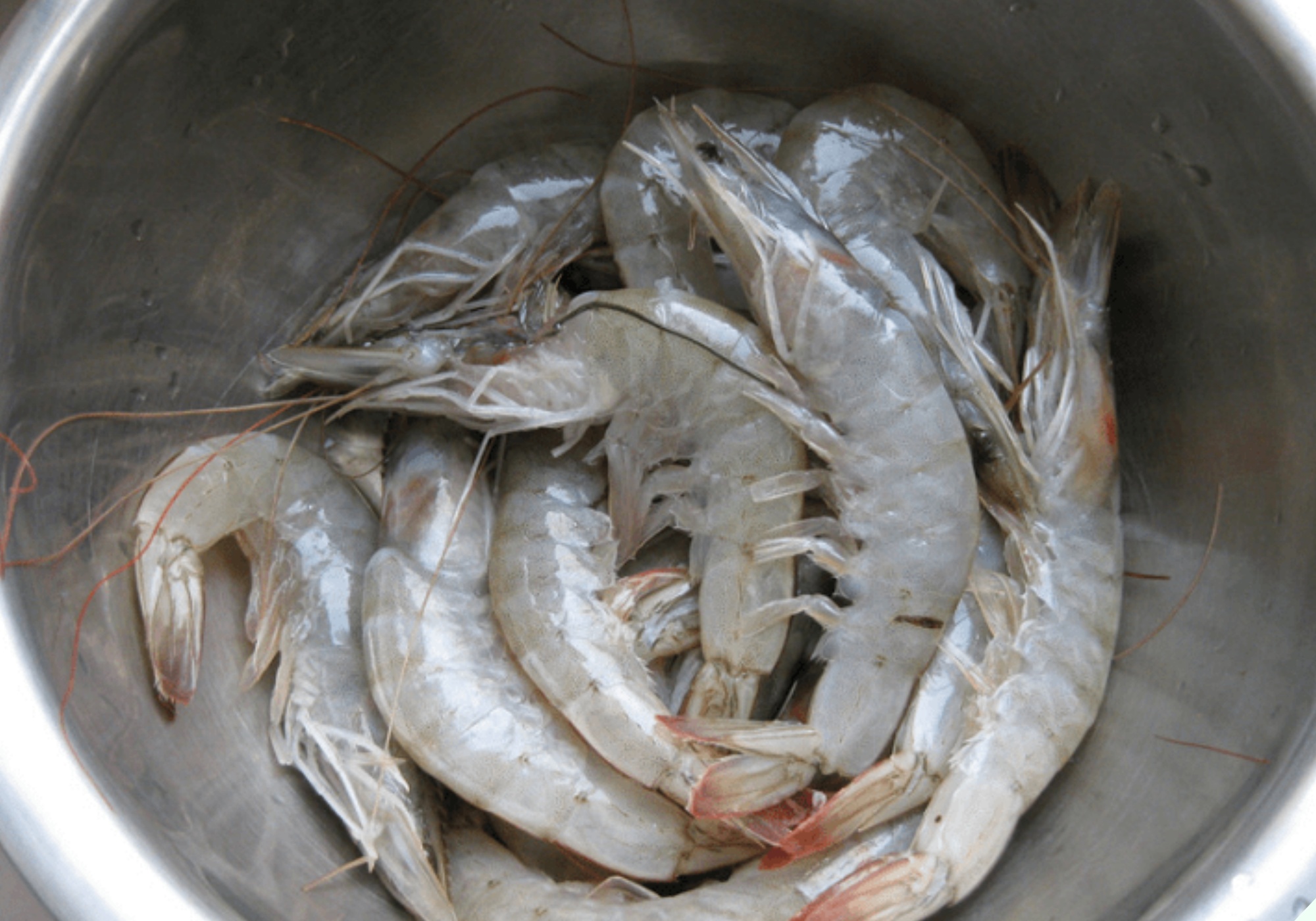 Luộc tôm đừng dùng hành, gừng để khử tanh, chỉ cần thêm vài hạt này tôm chín đỏ au, thơm lừng mà không hề có mùi lạ - 8