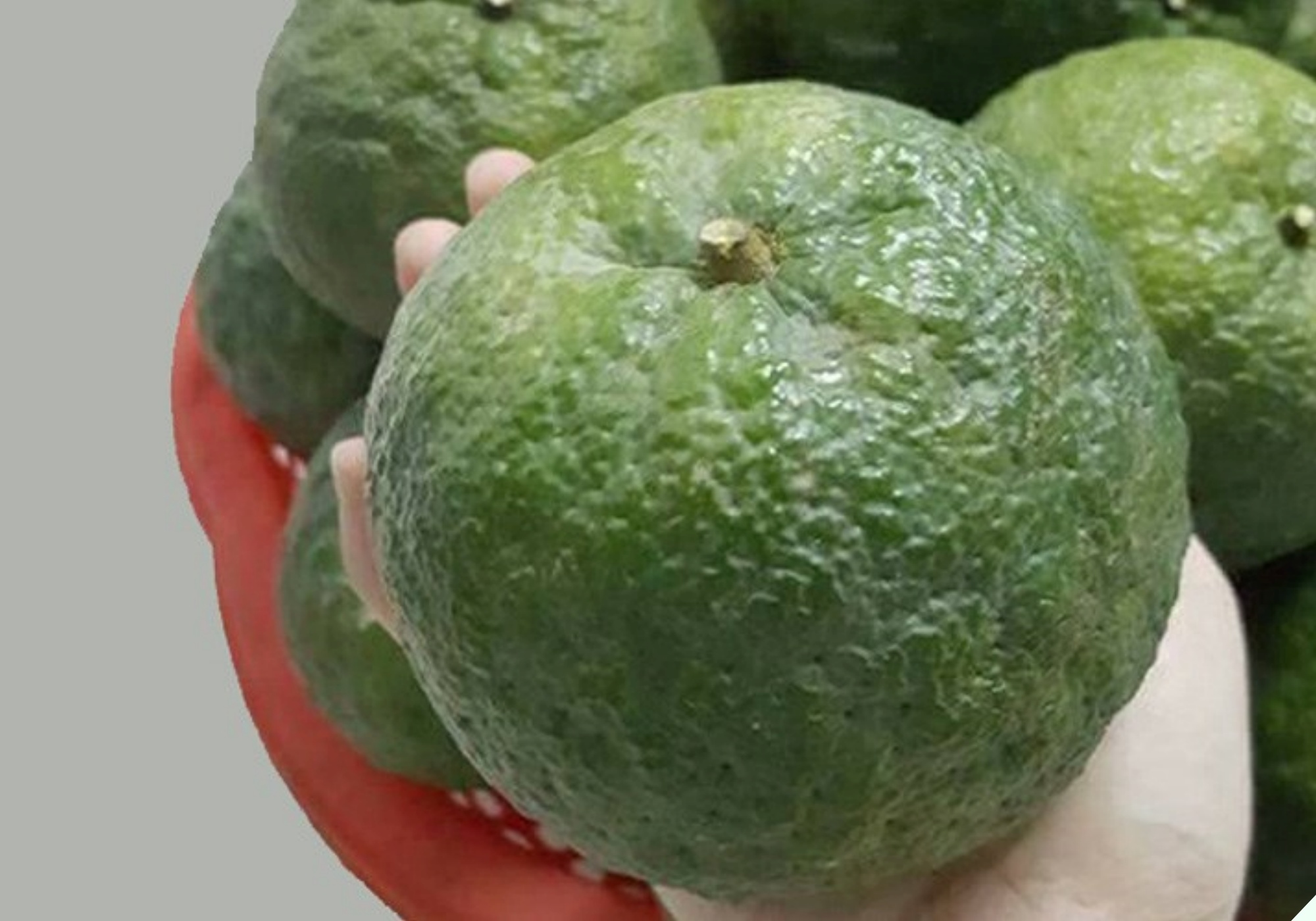 Chủ sạp hoa quả tiết lộ bí quyết chọn cam ngon, nhớ kỹ 5 điều này lấy chọn quả nào cũng ngọt lịm tim - 7