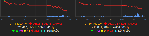 Cổ phiếu lập kỉ lục giảm sàn vô tiền khoáng hậu, shark Thủy bị bán giải chấp lượng lớn cổ phiếu - 1