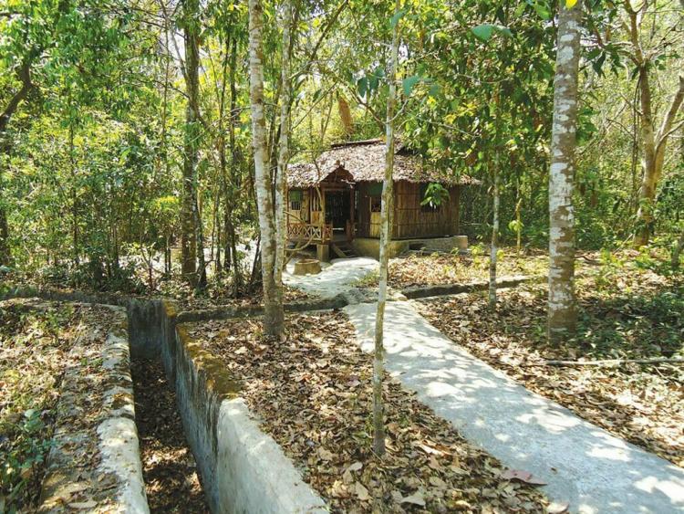 Về thăm căn cứ Trung ương miền Nam