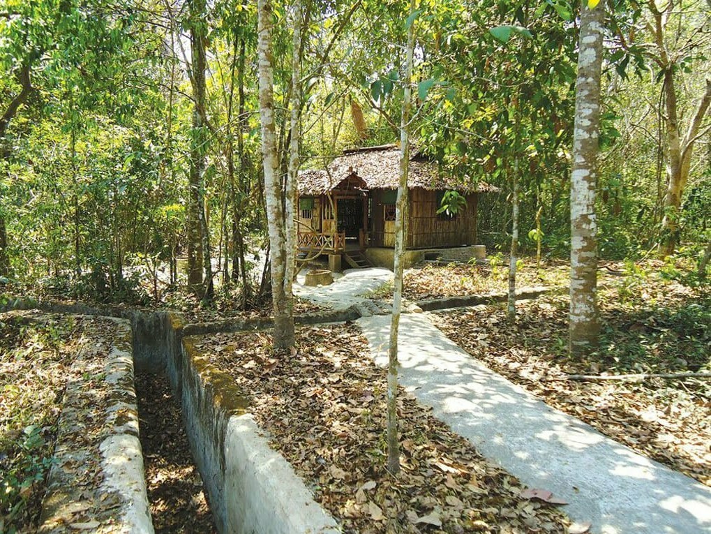 Về thăm căn cứ Trung ương miền Nam - 2