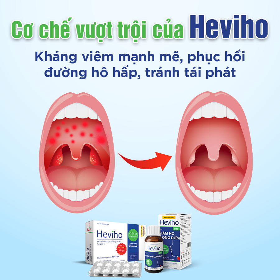 Giải pháp cho ho đờm, viêm họng lâu ngày không dứt từ Viện Hàn lâm - 5