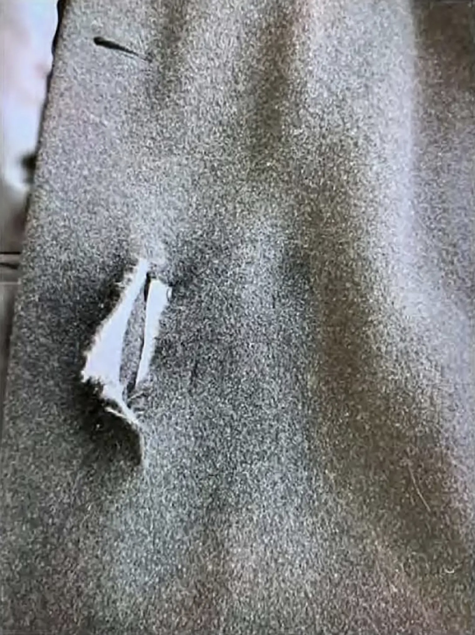 Hé lộ bất đồng giữa Tổng thống Mỹ Biden và Cơ quan Mật vụ - 4