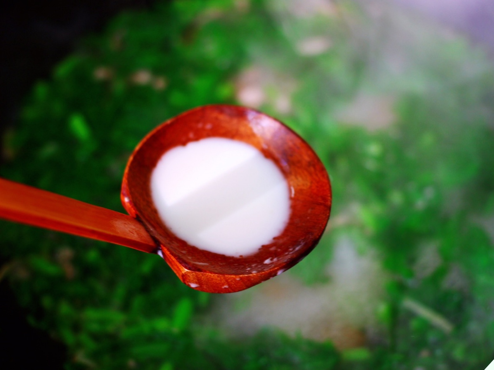 Loại rau người Trung Quốc ví như “món ăn hoàng đế”, đem nấu chung với thứ củ thông dụng này thành canh đại bổ - 15