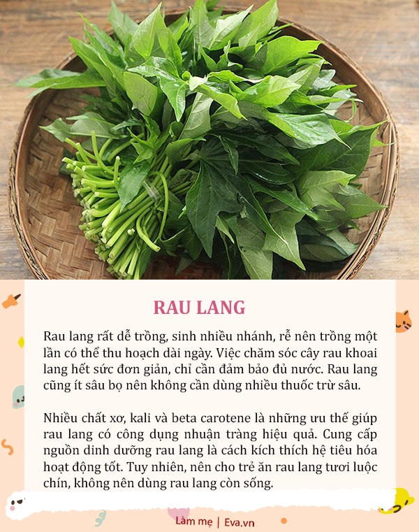 5 loại rau ít thuốc trừ sâu đến khó ngờ, rất tốt cho bé nhưng mẹ thường bỏ quên - 5