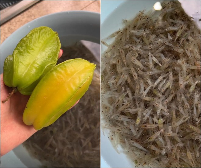 "Nàng dâu hào môn" Tăng Thanh Hà khoe nấu cháo gà, cho thứ này vào cháo cực thơm lại bổ dưỡng - 5