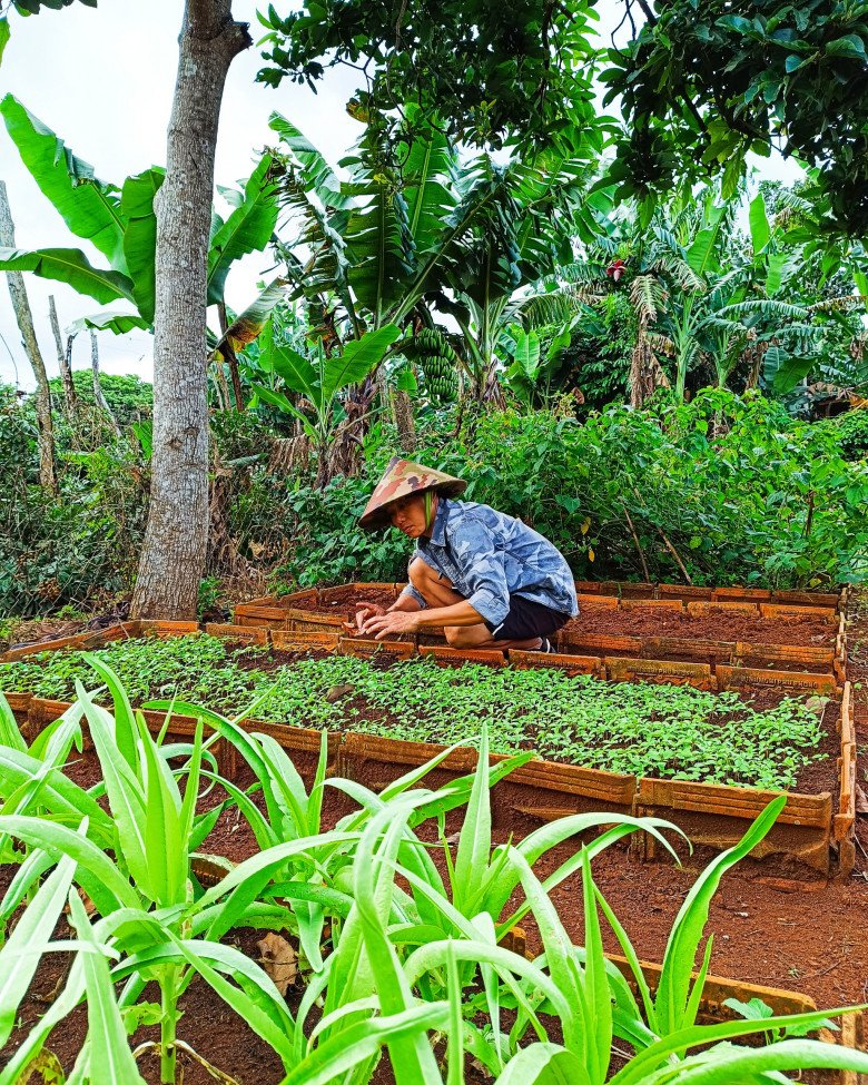 Nam công nhân tan ca tự trồng rau phục vụ bữa ăn hàng ngày, chia sẻ bí quyết mát tay nhờ khâu làm đất - 3