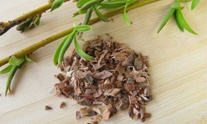 Rắc thứ này vào chậu hoa, đất tơi xốp như bánh mỳ, rễ cây trắng như bông bưởi - 3