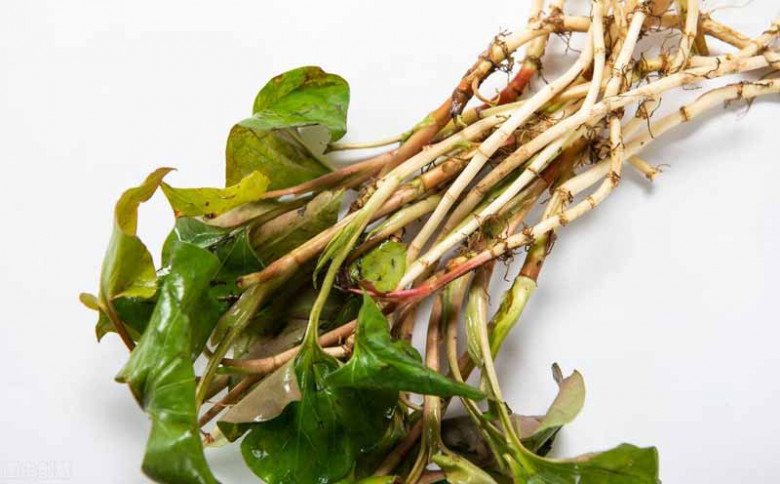 Loại lá tanh ngòm rất giàu vitamin A, người Nhật ví như “rau giải độc”, 5 phút có món ngon - 3