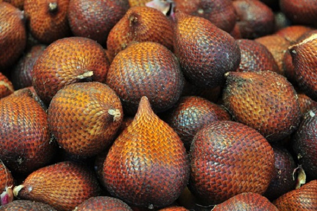 Thứ quả lạ có vỏ như da rắn nhưng lại rất ngon, giá bán 220.000 đồng/kg - 1