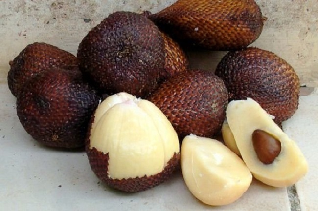 Thứ quả lạ có vỏ như da rắn nhưng lại rất ngon, giá bán 220.000 đồng/kg - 4