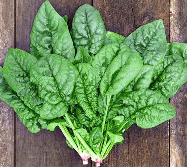 Rau này là kho chứa axit folic, rất tốt cho người thiếu sắt và bà bầu, ngoài chợ bán rất nhiều - 1