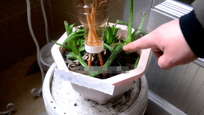 Buộc 2 chiếc đũa vào 1 chai nhựa rồi đặt ở ban công, mẹo đơn giản nhưng cực kỳ hữu hiệu - 4