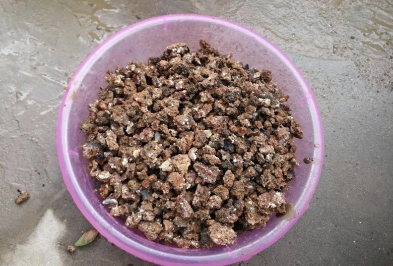 6 chất làm tơi đất tự nhiên, cho một ít vào chậu đất tơi xốp như bánh mỳ - 2
