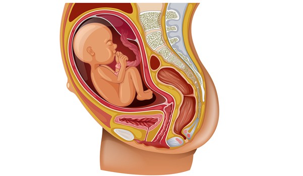 10 điều thú vị thai nhi muốn nói với mẹ qua &#34;những cú đạp&#34; - 6